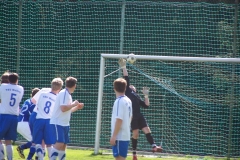 FC Sandersdorf - Saison  2012