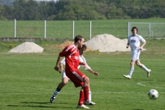 FC Sandersdorf - Saison  2012