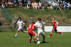 FC Sandersdorf - Saison  2012