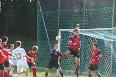 FC Sandersdorf - Saison  2012