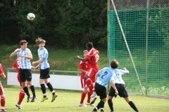 FC Sandersdorf - Saison  2012