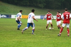 FC Sandersdorf - Saison  2013