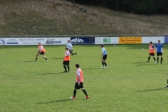 FC Sandersdorf - Saison  2013