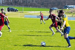 FC Sandersdorf - Saison 2017