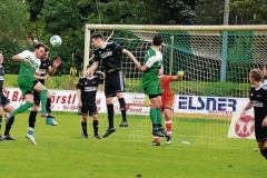 FC Sandersdorf - Saison 2017