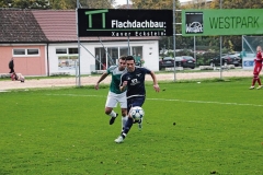 FC Sandersdorf - Saison 2017