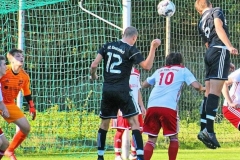 FC Sandersdorf - Saison 2019