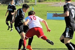 FC Sandersdorf - Saison 2019